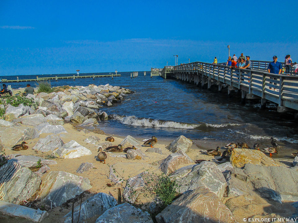 Photo of Top 10 Best Places To Visit In Maryland 13/16 by Saswati Bhoi