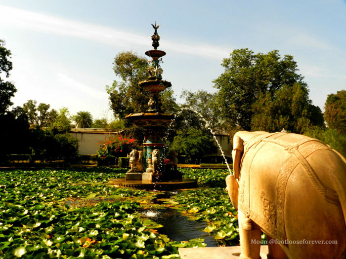 Photo of Sightseeing in Udaipur – The ‘Venice of the East’ 12/31 by Moon Roy