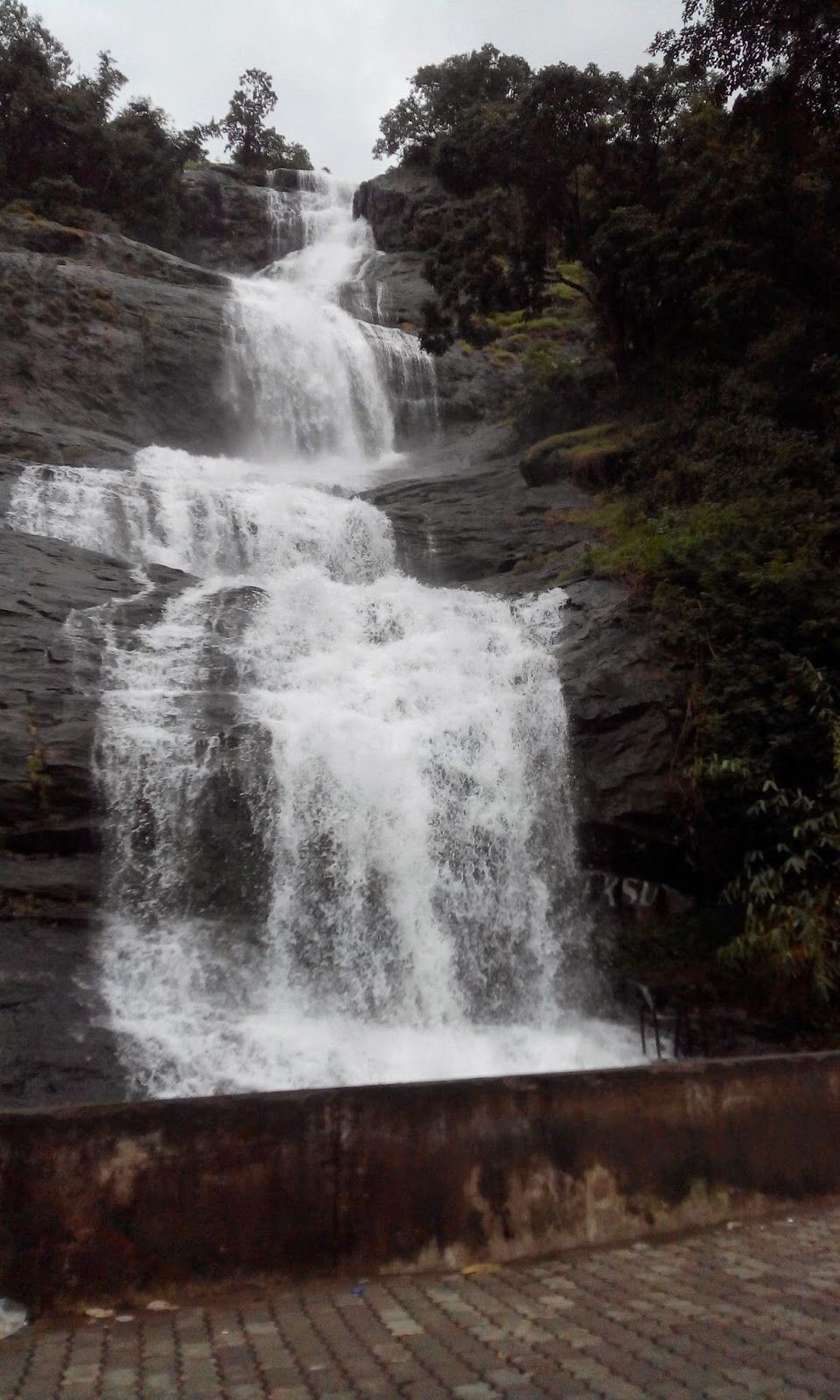 Photo of Mesmerizing Munnar (Part I) 1/5 by Mili Savani