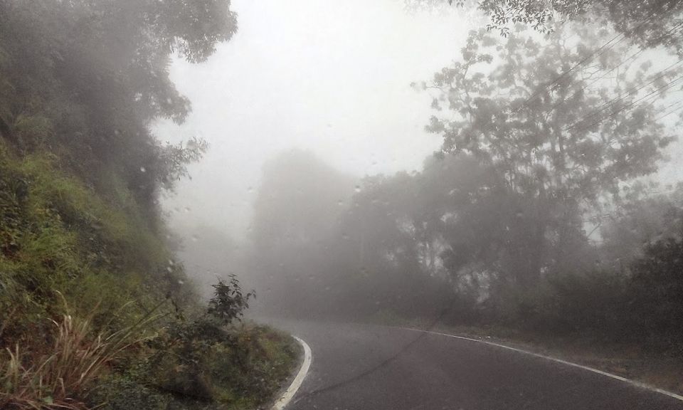 Photo of Mesmerizing Munnar (Part I) 3/5 by Mili Savani