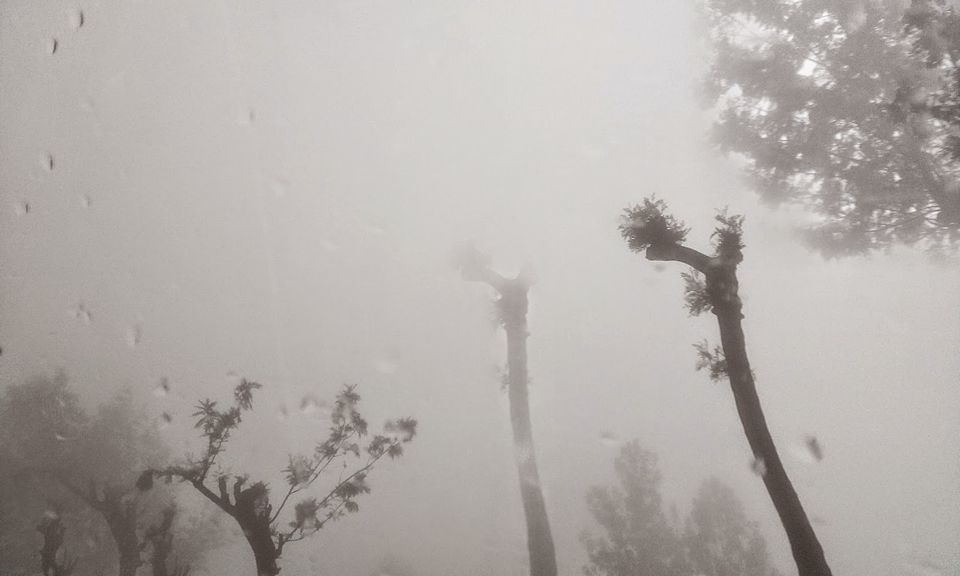 Photo of Mesmerizing Munnar (Part I) 4/5 by Mili Savani