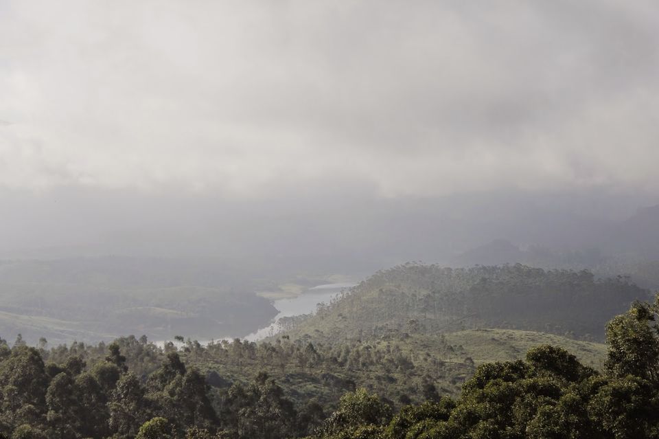 Photo of Mesmerizing Munnar (Part I) 5/5 by Mili Savani