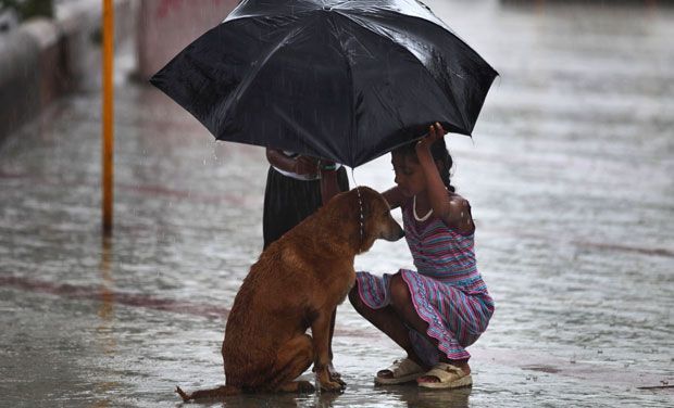 Photo of 72 Reasons Why India Has Spoilt Us Forever 41/42 by Gunjan Upreti