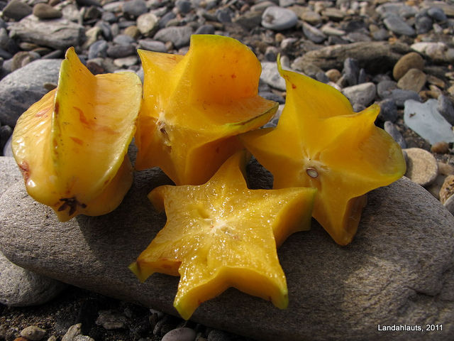 10 Brazilian Fruits You Need To Eat In Rio - Tripoto