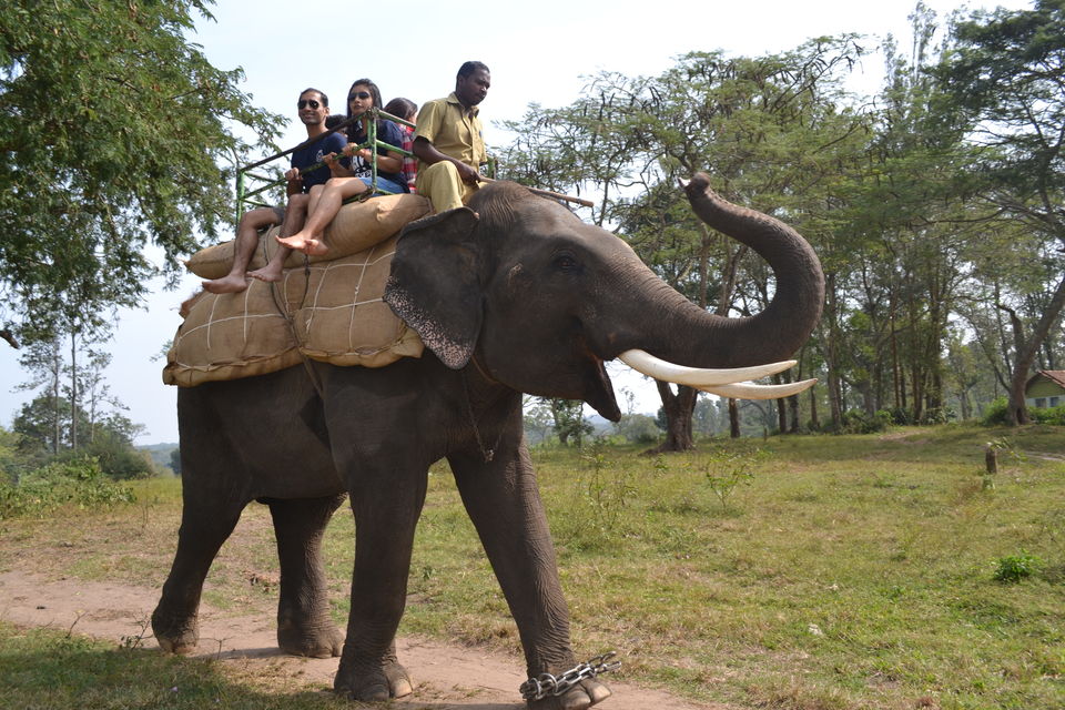 Photo of Unconventional Honeymooners-A Roadtrip 16/30 by Shreya Bhargava Garg