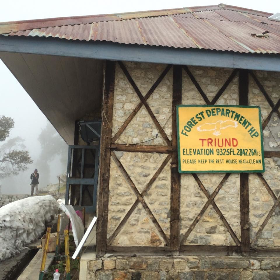 Photo of Triund - Day trek from Mcleodganj 2/9 by The Tropical River