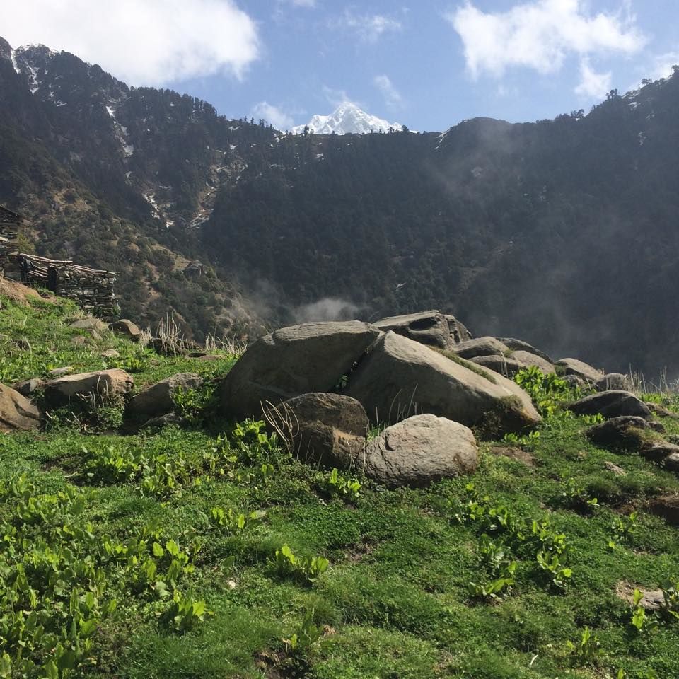 Photo of Triund - Day trek from Mcleodganj 8/9 by The Tropical River