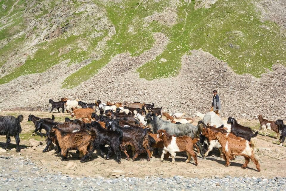 Photo of This Woman Took Pictures of Pakistan that Will Change Your Impression of the Country Forever. 6/11 by Gunjan Upreti