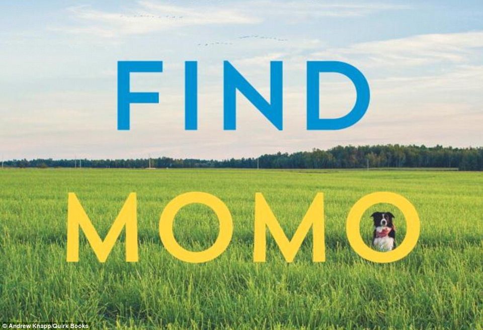 Photo of This Photographer is Travelling the World to Hide His Dog. Can You Find Him? 2/15 by Sreshti Verma