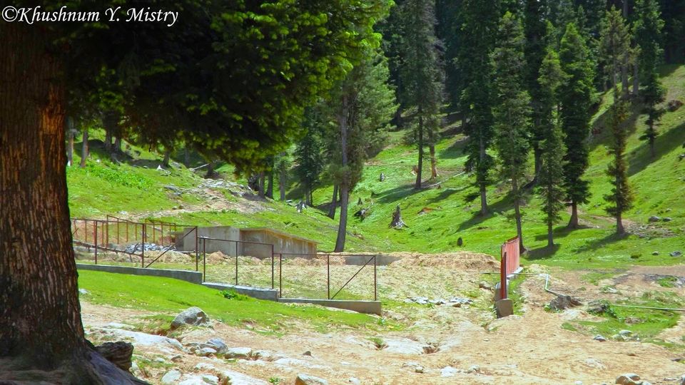 Photo of Pahalgam – The valley of shepherds 8/12 by Trace My Wandering Footsteps