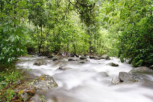 Photo of 10 Incredible Western Ghats Must-Visit Places 5/10 by Shazy Buoy's Travel Diaries