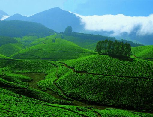 Photo of 10 Incredible Western Ghats Must-Visit Places 8/10 by Shazy Buoy's Travel Diaries