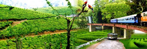 Photo of 10 Incredible Western Ghats Must-Visit Places 10/10 by Shazy Buoy's Travel Diaries