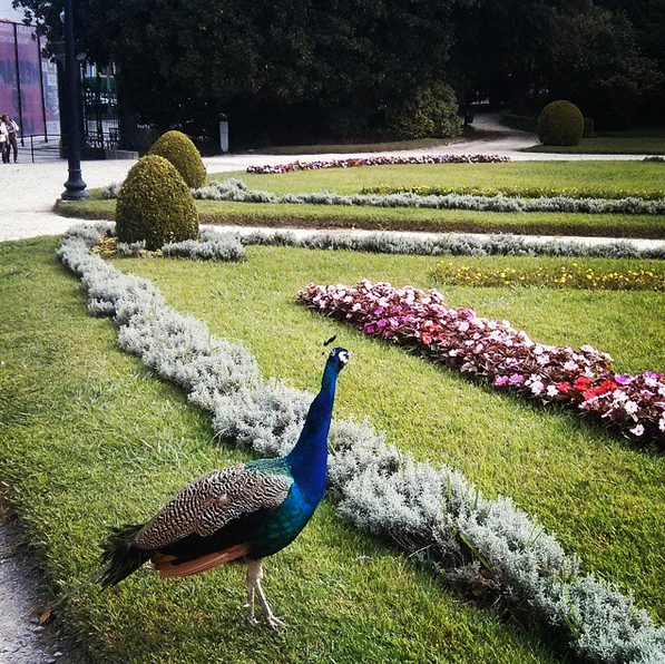 Photo of Weekend In Porto under 100 Euros! 12/14 by Siddharth Jogani