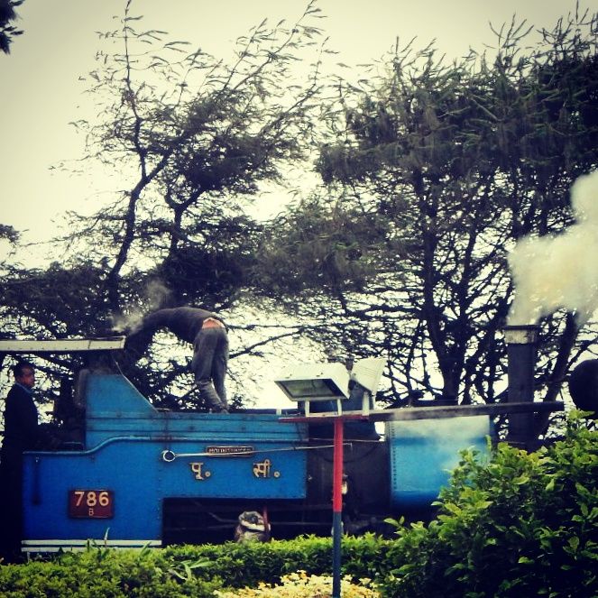 Photo of Darjeeling – 10 things to do 3/7 by Swati Saxena