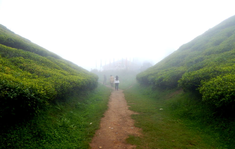 Photo of Darjeeling – 10 things to do 5/7 by Swati Saxena