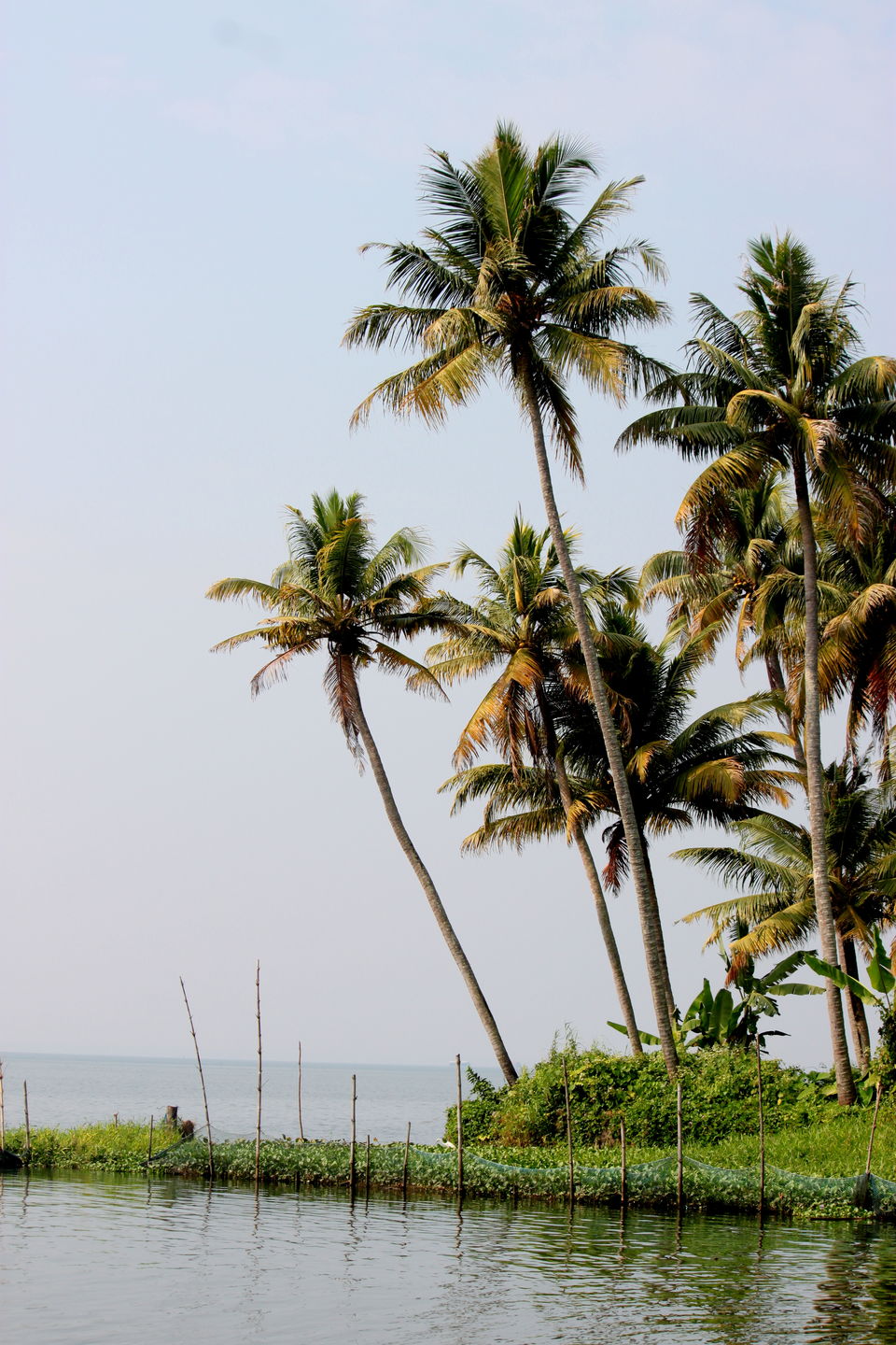 Photo of God's Own Country: Kerala 2/3 by Riyanka Roy