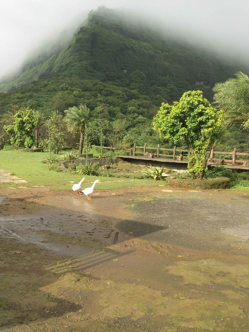 Photo of Trek To Lohagadh (The Iron Fort) 28/30 by Vikas Jain