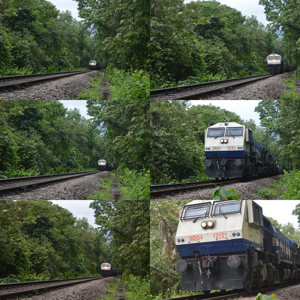 Photo of Castlerock to Dudhsagar Waterfalls 7/7 by Polomi M (Curious Traveler)