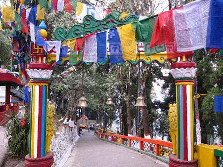 Photo of Exploring Darjeeling 15/27 by Riyanka Roy