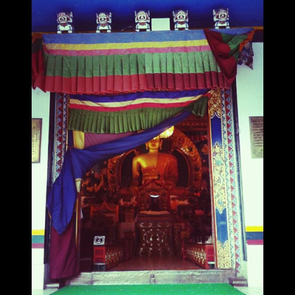 Photo of Exploring Darjeeling 23/27 by Riyanka Roy
