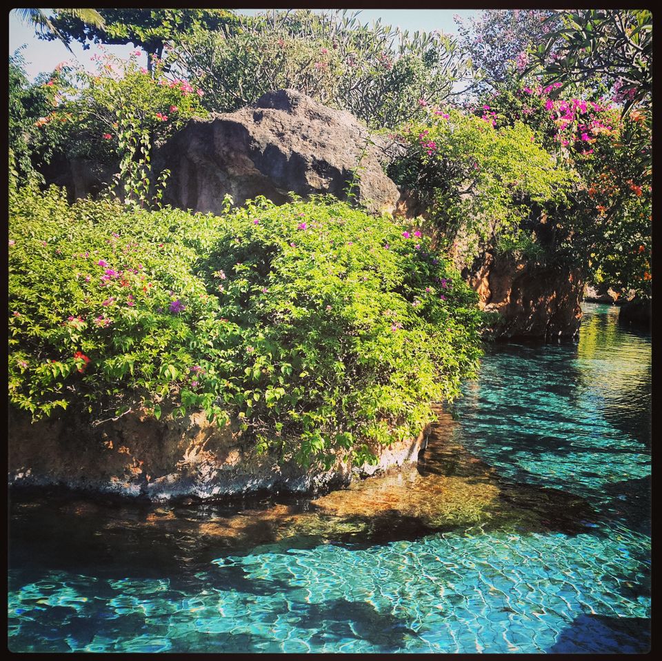 Photo of 4 Days of bliss in Bali 1/14 by Adyasha Dash (The Wandering Mind)