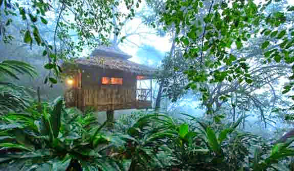 Photo of Meghalaya: Why this north-eastern state is nothing like the rest of India 9/10 by Mukul Bhandari