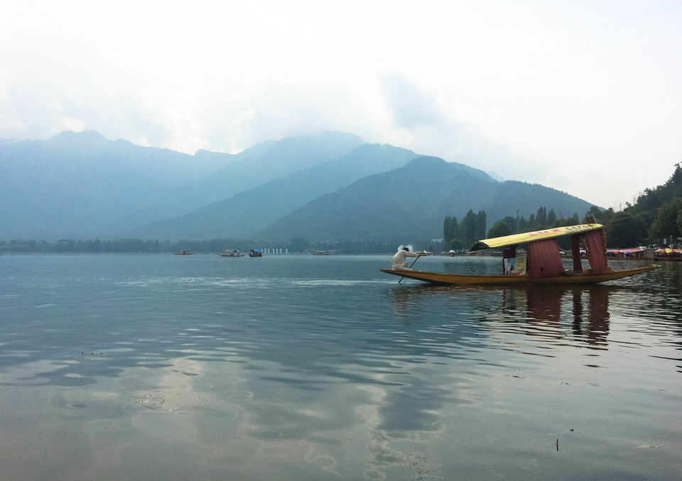 Photo of Kashmir Great Lakes trek: How to do, Itinerary, Cost, Route 2/8 by Himani Khatreja