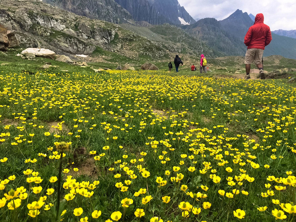 Photo of Kashmir Great Lakes trek: How to do, Itinerary, Cost, Route 1/8 by Himani Khatreja