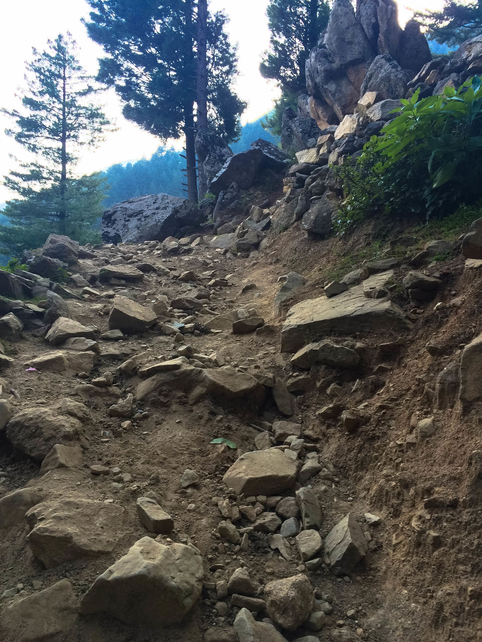Photo of Kashmir Great Lakes trek: How to do, Itinerary, Cost, Route 7/8 by Himani Khatreja