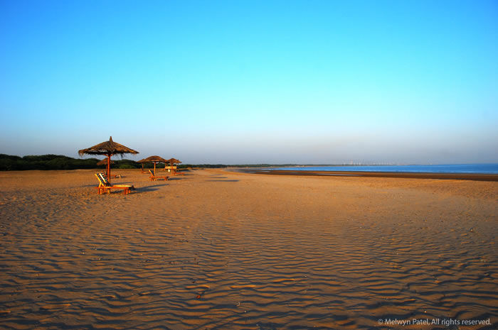 Photo of 7 Secret Beaches in India That Have Been Kept Hidden From You 3/12 by Gunjan Upreti