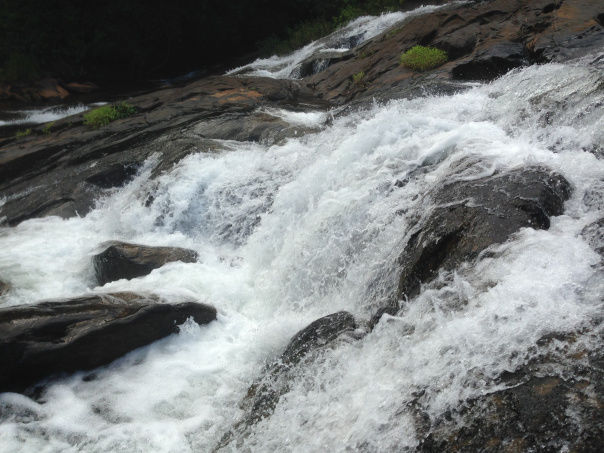 Photo of Kudremukh : A peak into paradise 9/12 by srijalism