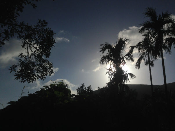 Photo of Kudremukh : A peak into paradise 10/12 by srijalism