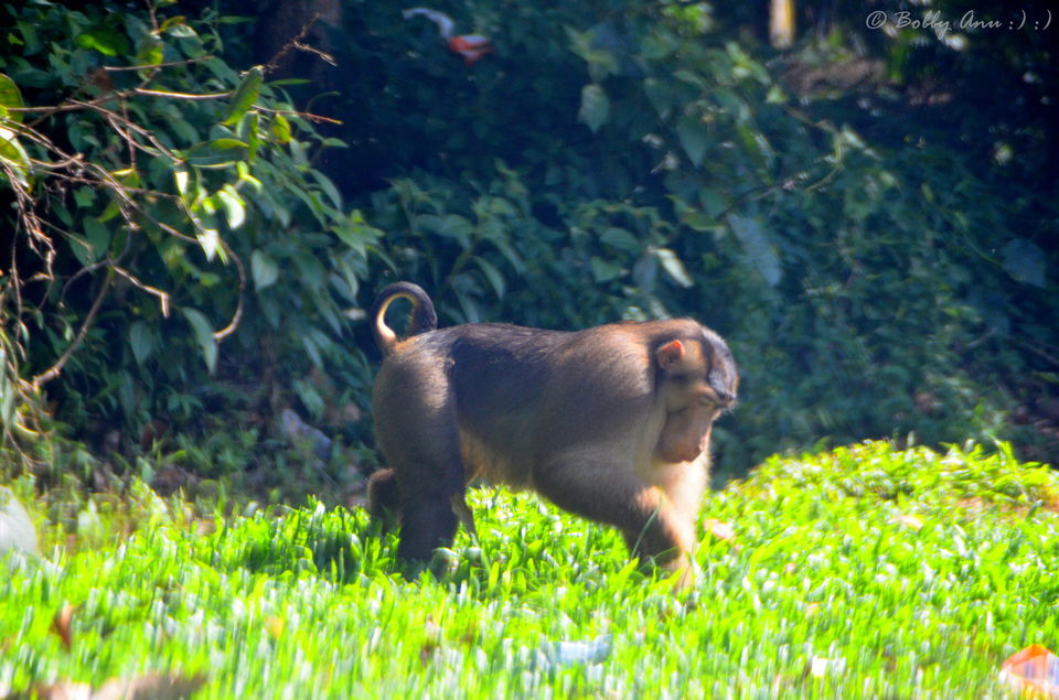 Photo of A day to Genting Highlands, City of Entertainment 5/31 by Bobby