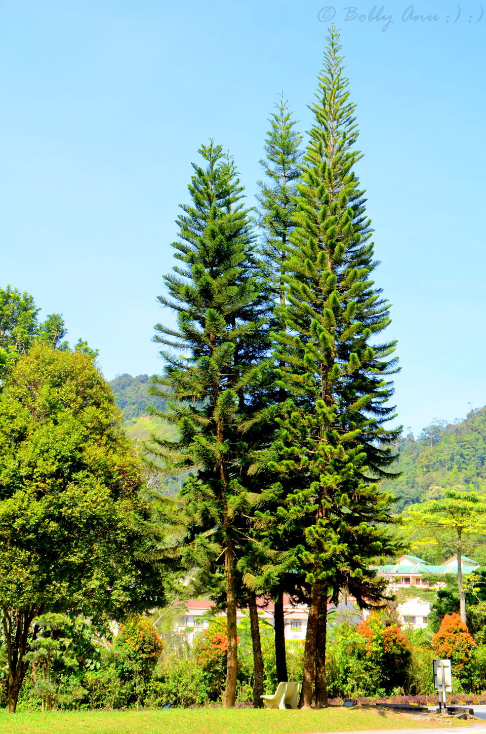 Photo of A day to Genting Highlands, City of Entertainment 8/31 by Bobby