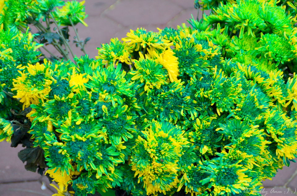 Photo of A day to Genting Highlands, City of Entertainment 31/31 by Bobby