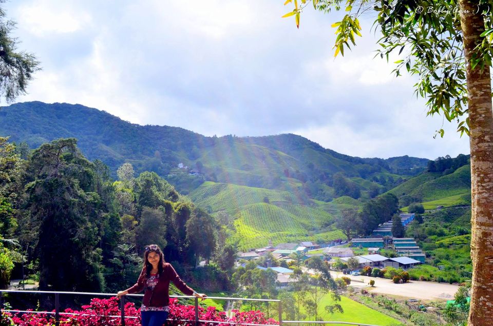 Photo of Visit to Cameron Highlands, Malaysia's most extensive Hillstation 18/31 by Bobby