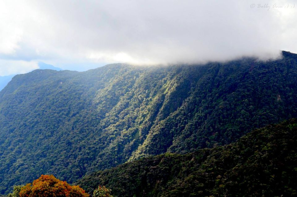 Photo of Visit to Cameron Highlands, Malaysia's most extensive Hillstation 23/31 by Bobby