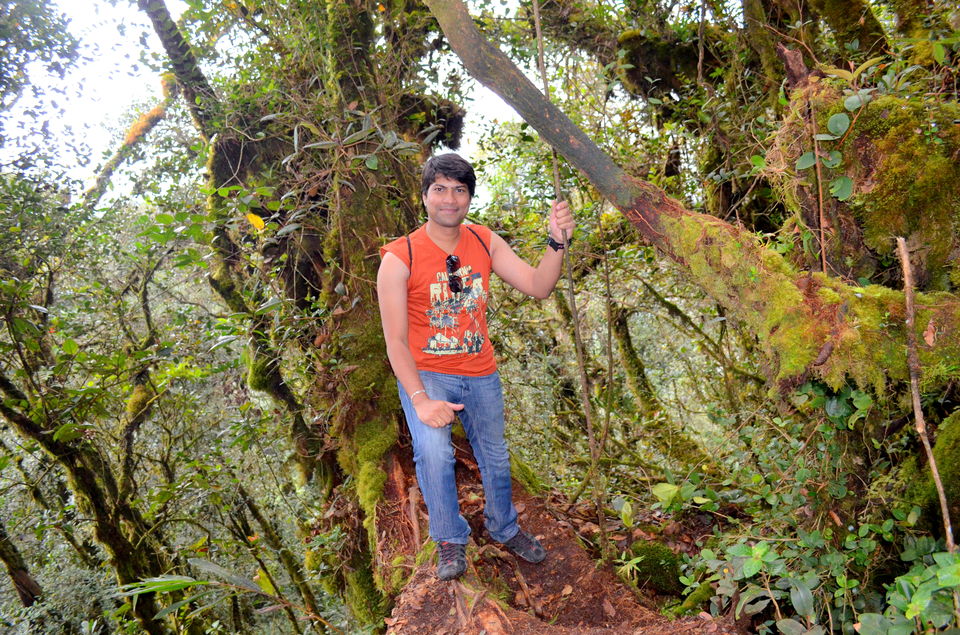 Photo of Visit to Cameron Highlands, Malaysia's most extensive Hillstation 24/31 by Bobby