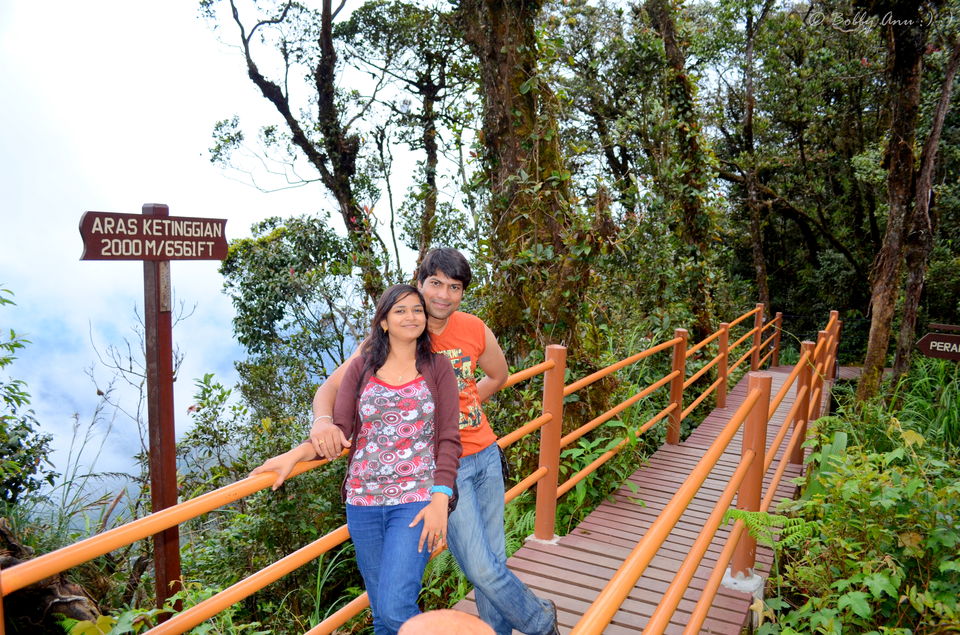 Photo of Visit to Cameron Highlands, Malaysia's most extensive Hillstation 26/31 by Bobby