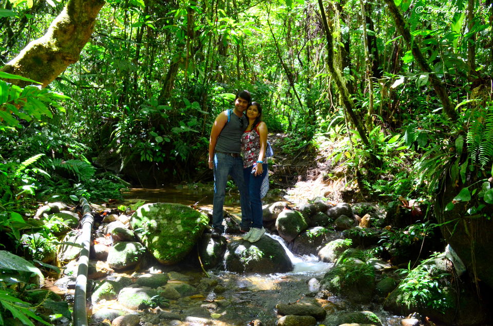 Photo of Visit to Cameron Highlands, Malaysia's most extensive Hillstation 27/31 by Bobby