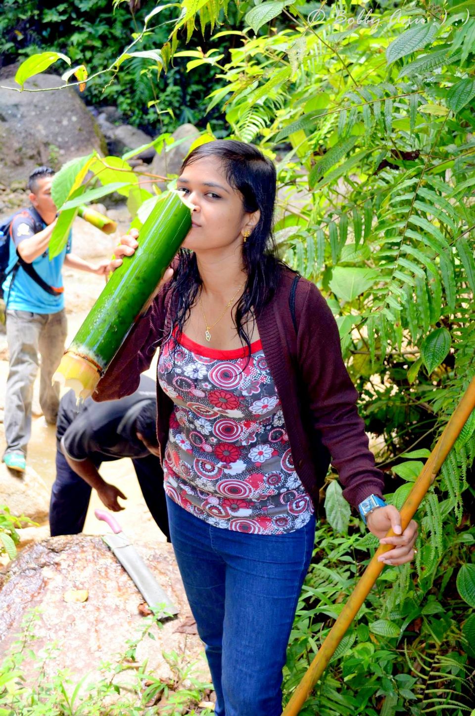 Photo of Visit to Cameron Highlands, Malaysia's most extensive Hillstation 28/31 by Bobby