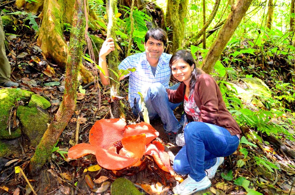 Photo of Visit to Cameron Highlands, Malaysia's most extensive Hillstation 30/31 by Bobby