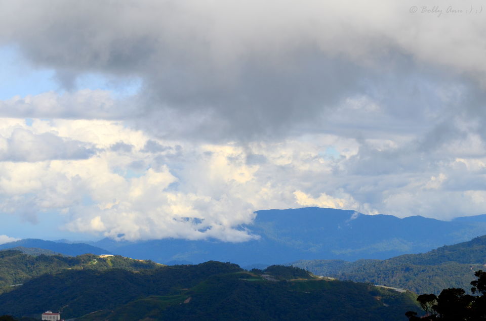 Photo of Visit to Cameron Highlands, Malaysia's most extensive Hillstation 22/31 by Bobby