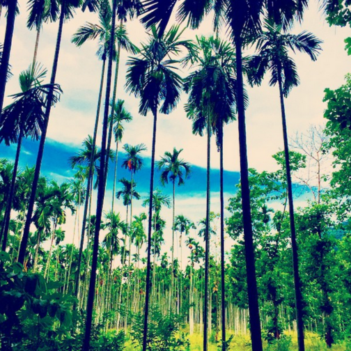 Photo of 21 Times Bollywood Stars Gave You Intense Vacation Goals 10/21 by Gunjan Upreti