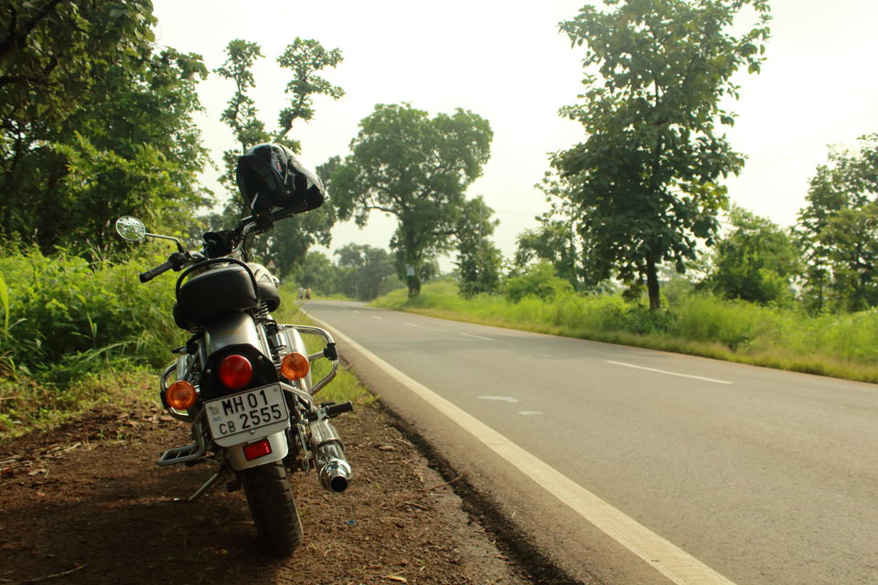 Photo of Road Trip - Malshej Ghat 2/5 by Harsh Singh