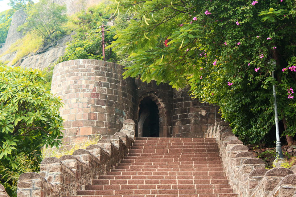 Photo of Road Trip - Malshej Ghat 5/5 by Harsh Singh
