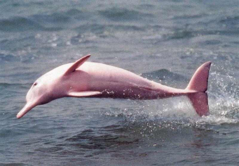 Photo of The Ultimate 50 Bucket List 4/51 by chix on board