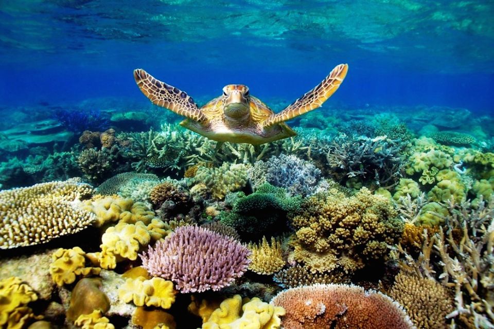 Photo of The Ultimate 50 Bucket List 24/51 by chix on board