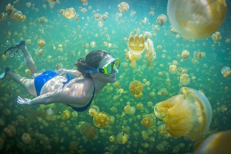 Photo of The Ultimate 50 Bucket List 26/51 by chix on board
